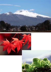 浅間山と四季の彩り